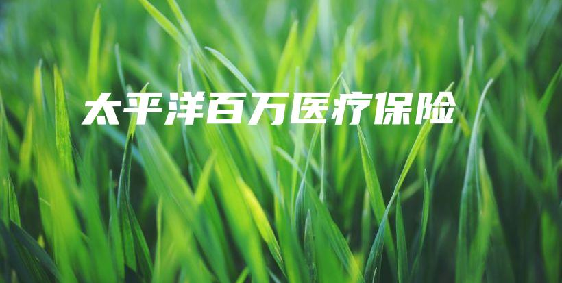 太平洋百万医疗保险-PLB