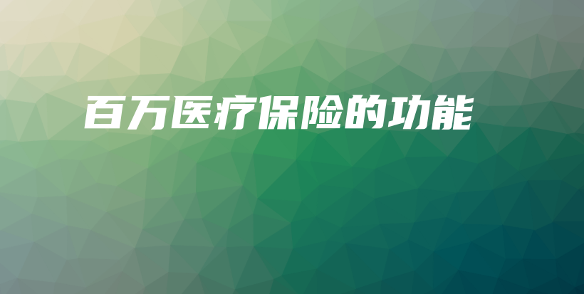 百万医疗保险的功能-PLB