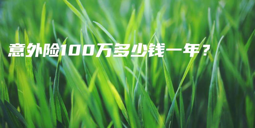 意外险100万多少钱一年？-PLB