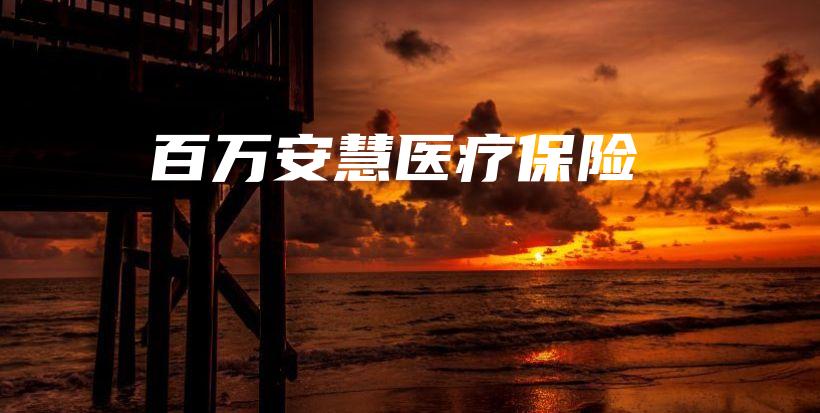 百万安慧医疗保险-PLB