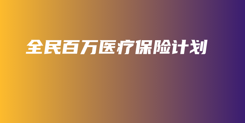 全民百万医疗保险计划-PLB