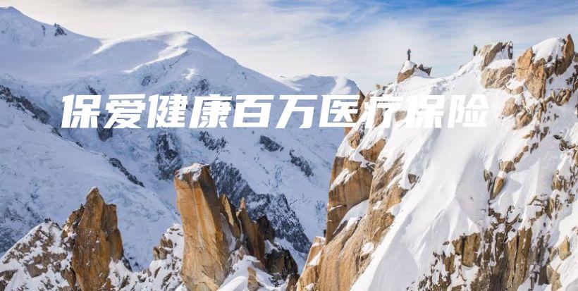 保爱健康百万医疗保险-PLB
