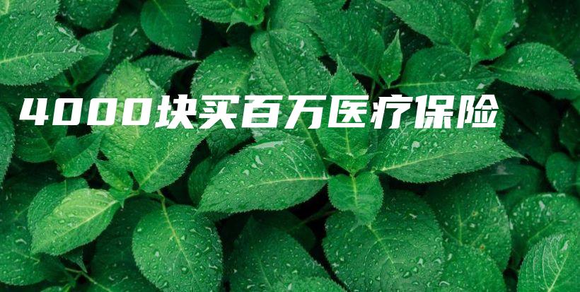4000块买百万医疗保险-PLB