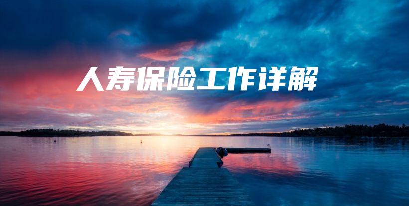 人寿保险工作详解-PLB