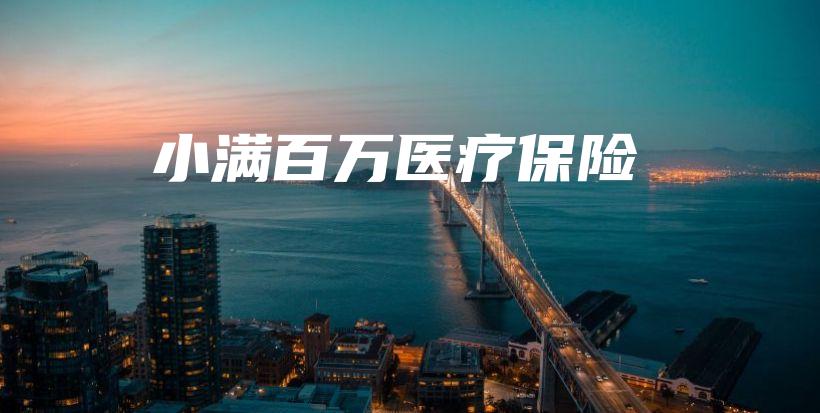 小满百万医疗保险-PLB