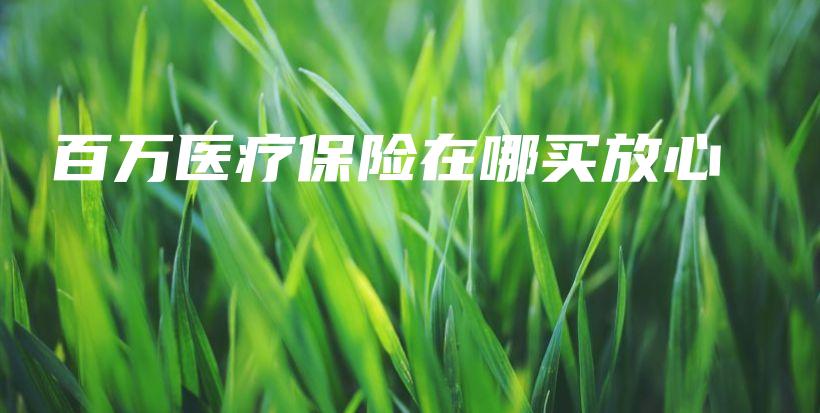 百万医疗保险在哪买放心-PLB