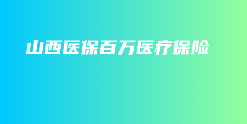 山西医保百万医疗保险-PLB