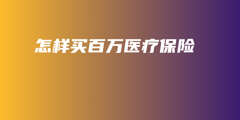 怎样买百万医疗保险-PLB