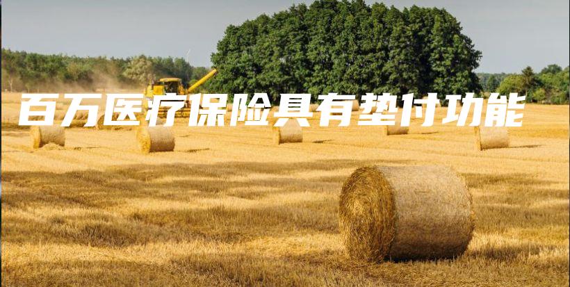 百万医疗保险具有垫付功能-PLB