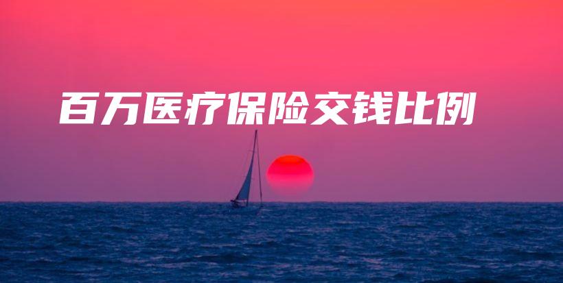 百万医疗保险交钱比例-PLB