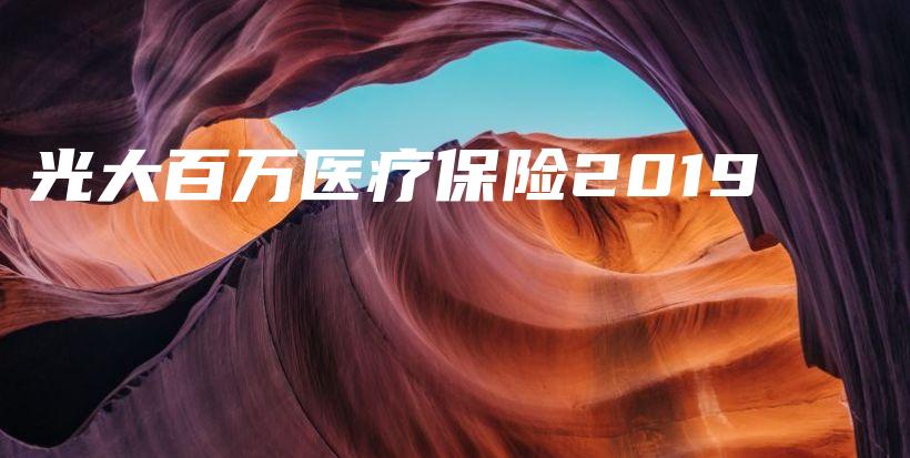 光大百万医疗保险2019-PLB