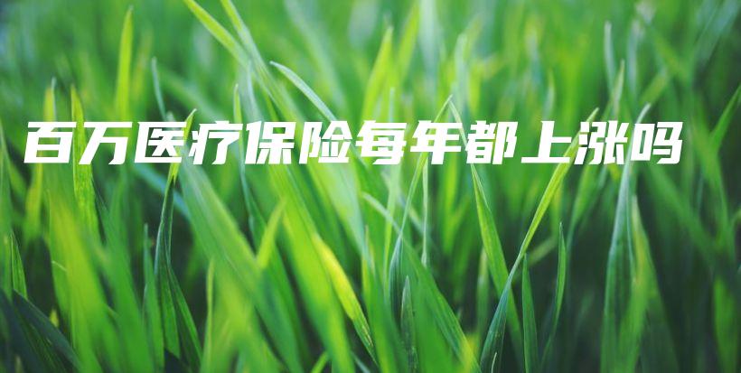 百万医疗保险每年都上涨吗-PLB