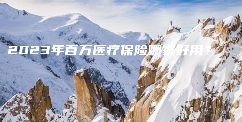 2023年百万医疗保险哪家好用？-PLB