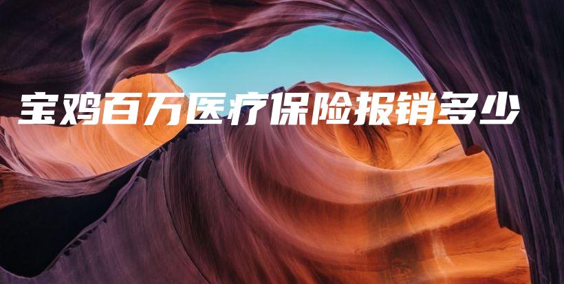 宝鸡百万医疗保险报销多少-PLB