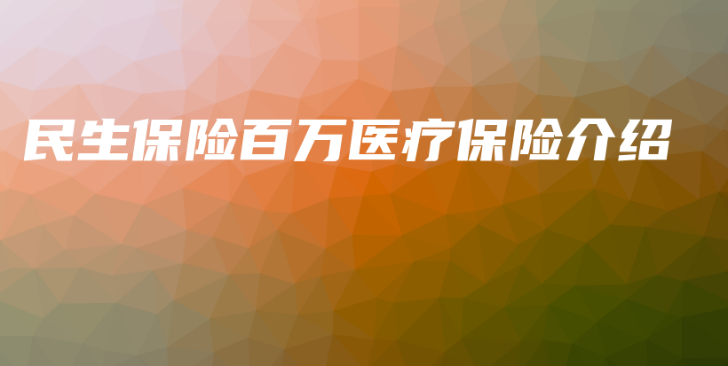 民生保险百万医疗保险介绍-PLB