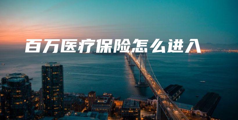 百万医疗保险怎么进入-PLB