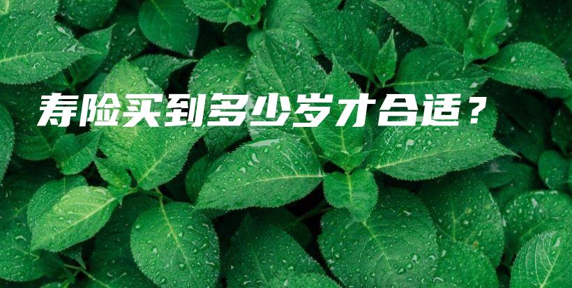 寿险买到多少岁才合适？-PLB