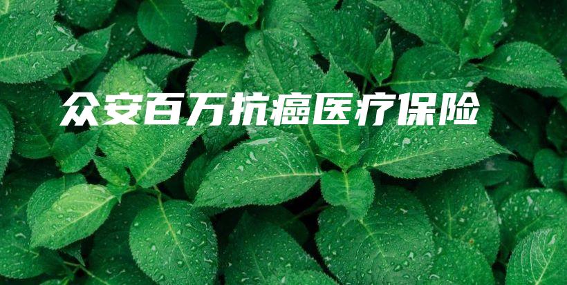 众安百万抗癌医疗保险-PLB