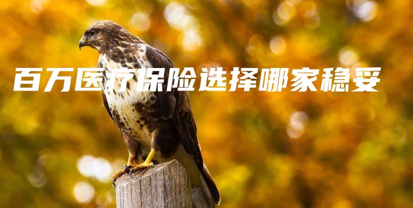 百万医疗保险选择哪家稳妥-PLB
