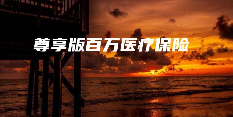 尊享版百万医疗保险-PLB