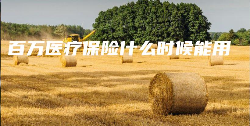 百万医疗保险什么时候能用-PLB