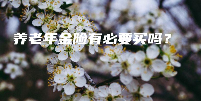 养老年金险有必要买吗？-PLB