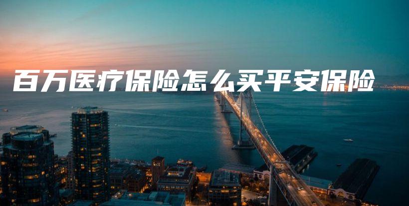 百万医疗保险怎么买平安保险-PLB