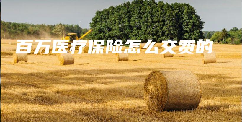 百万医疗保险怎么交费的-PLB