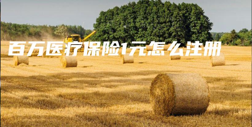 百万医疗保险1元怎么注册-PLB
