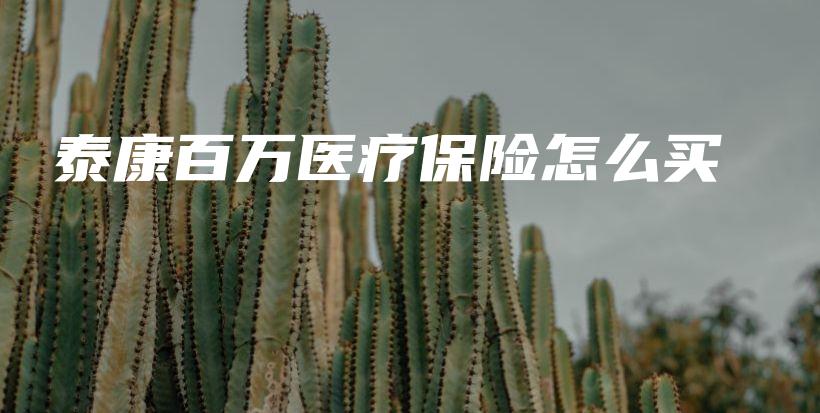 泰康百万医疗保险怎么买-PLB