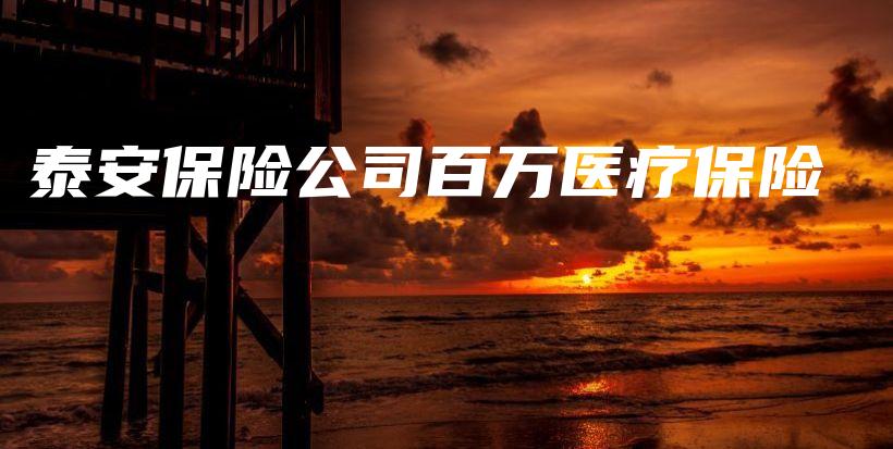 泰安保险公司百万医疗保险-PLB