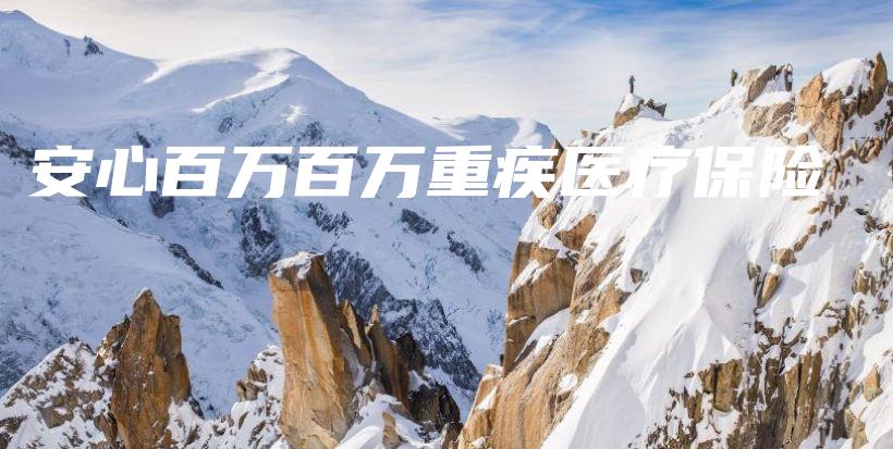 安心百万百万重疾医疗保险-PLB