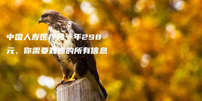 中国人寿医疗险一年298元，你需要知道的所有信息-PLB