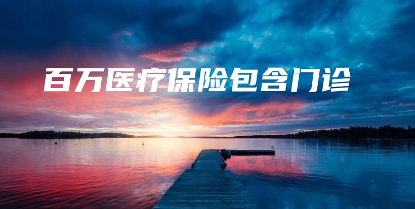 百万医疗保险包含门诊-PLB