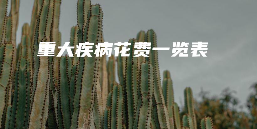 重大疾病花费一览表-PLB