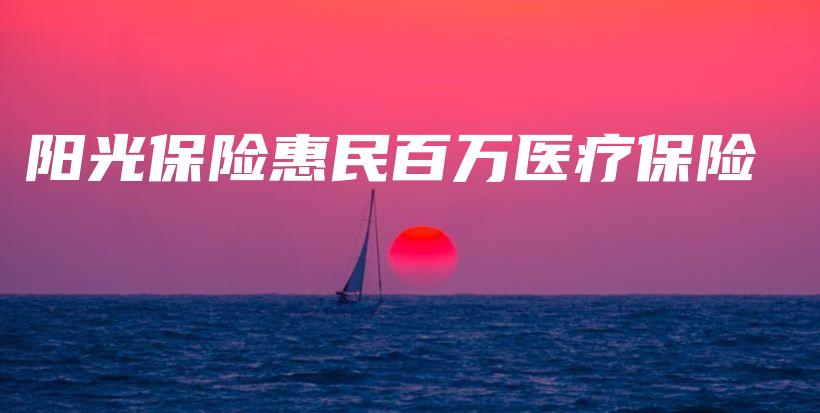 阳光保险惠民百万医疗保险-PLB