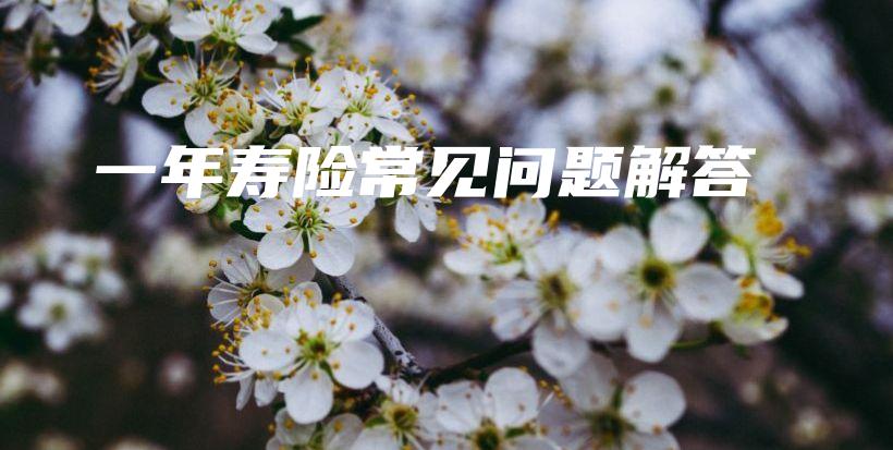 一年寿险常见问题解答-PLB