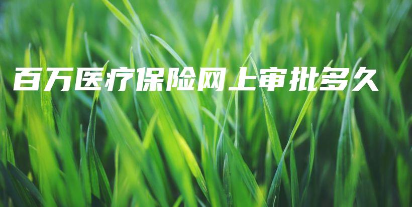 百万医疗保险网上审批多久-PLB