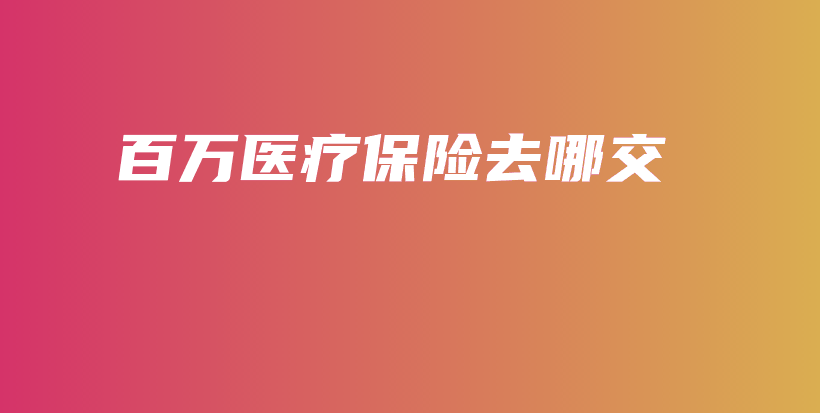 百万医疗保险去哪交-PLB