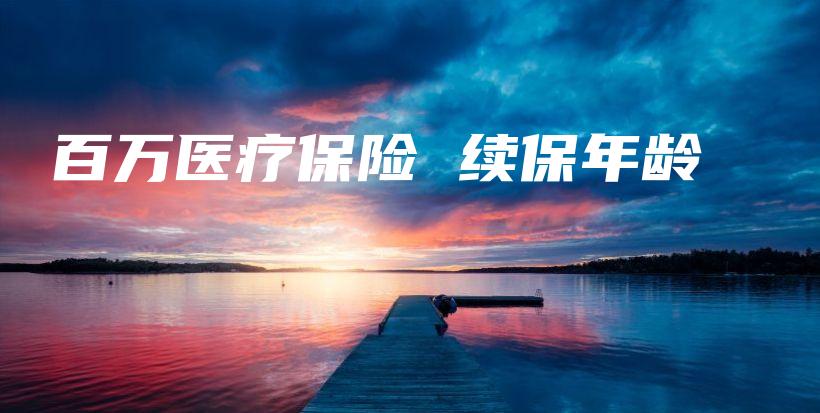 百万医疗保险 续保年龄-PLB