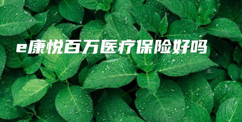 e康悦百万医疗保险好吗-PLB