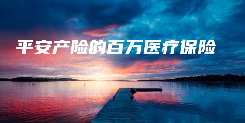 平安产险的百万医疗保险-PLB