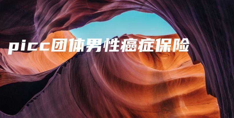 picc团体男性癌症保险-PLB