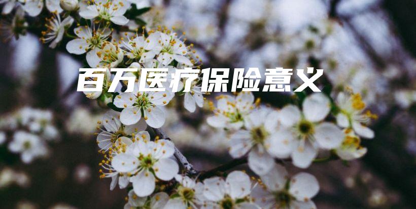 百万医疗保险意义-PLB