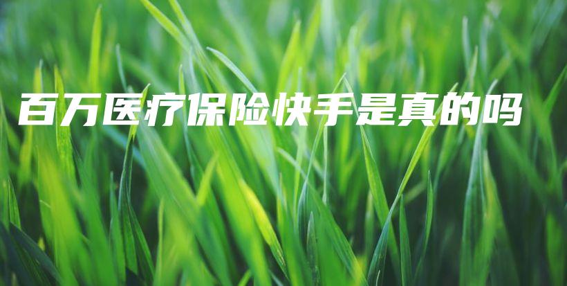 百万医疗保险快手是真的吗-PLB