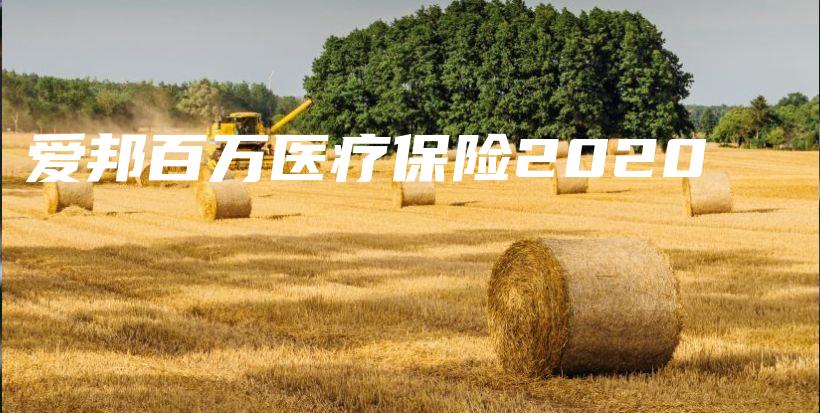 爱邦百万医疗保险2020-PLB