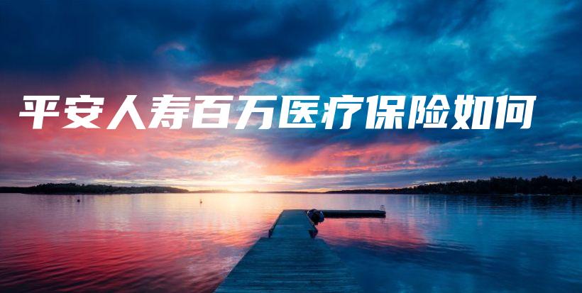 平安人寿百万医疗保险如何-PLB