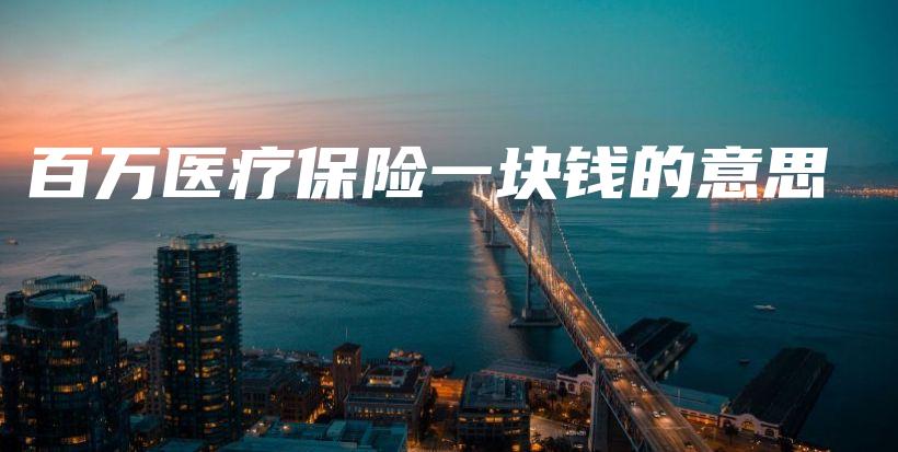 百万医疗保险一块钱的意思-PLB