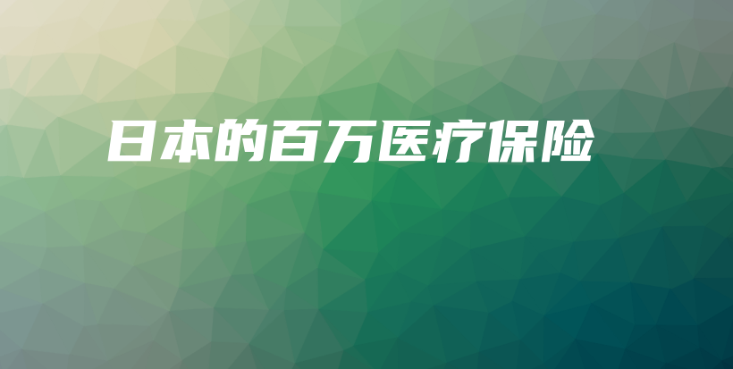 日本的百万医疗保险-PLB