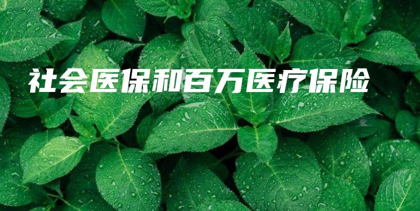 社会医保和百万医疗保险-PLB